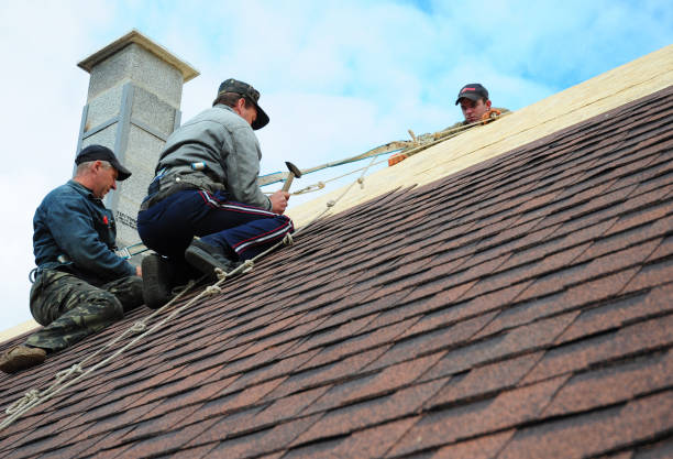 Gutter Installation and Roofing in Martinez, GA
